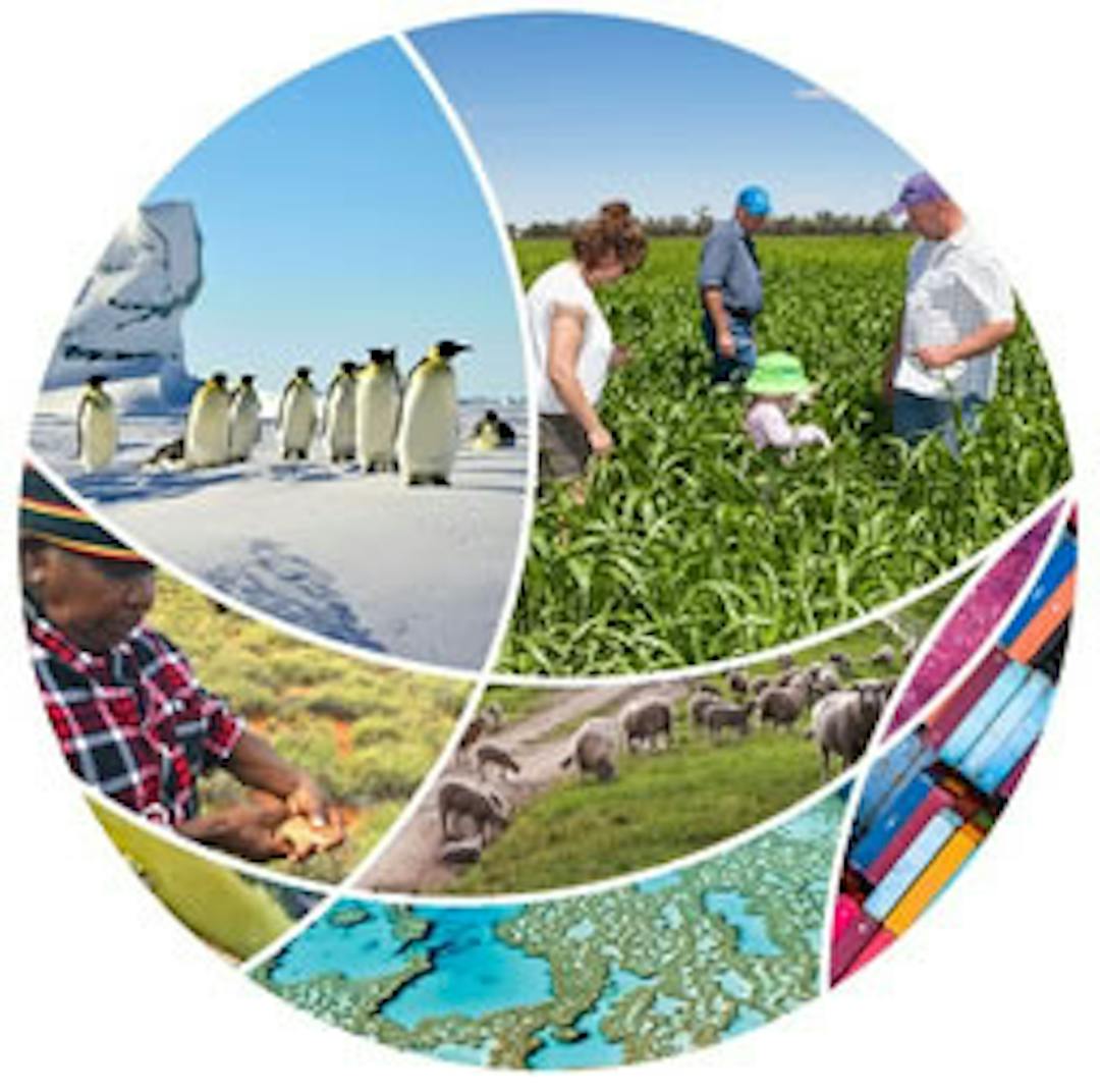 Agricultural Trade Quarterly Briefing review Have Your Say