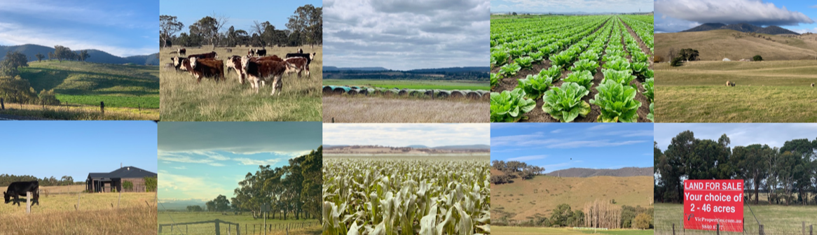 Rural Landscape - Foreground rural fence, gully, undulating hill with sparse trees, background dense tree covered mountains, blue sky