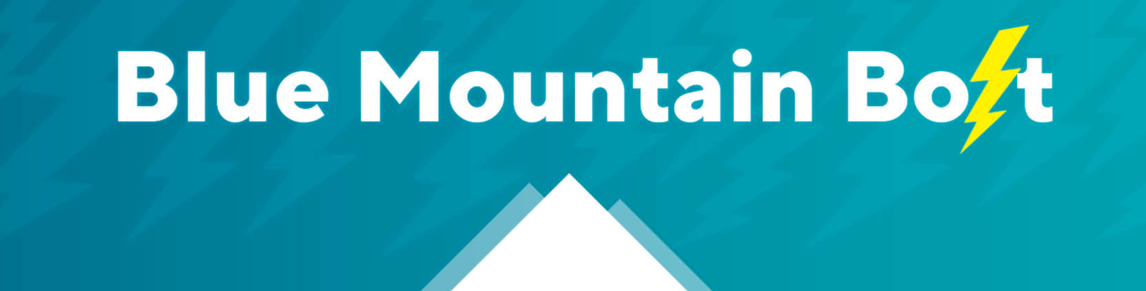 project banner