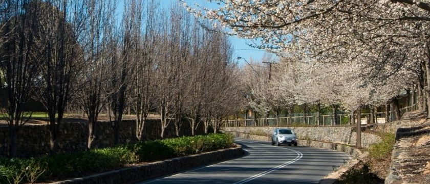 Silver car driving on Barossa Valley Way exiting Tanunda