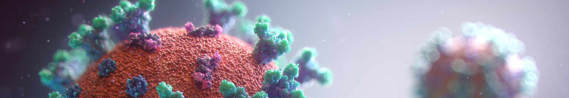 Medical animation of coronavirus