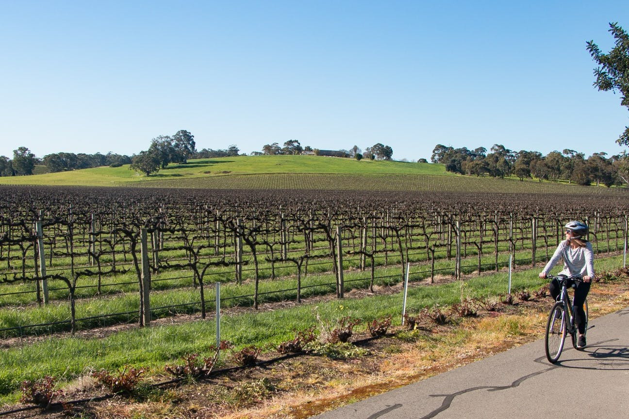 Tanunda Recreation Park 