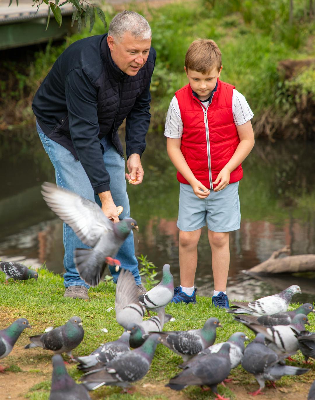 Man and child feeding birds in Linear Park