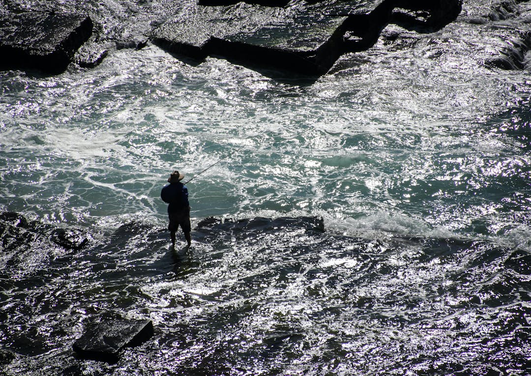 Person fishing from rocks