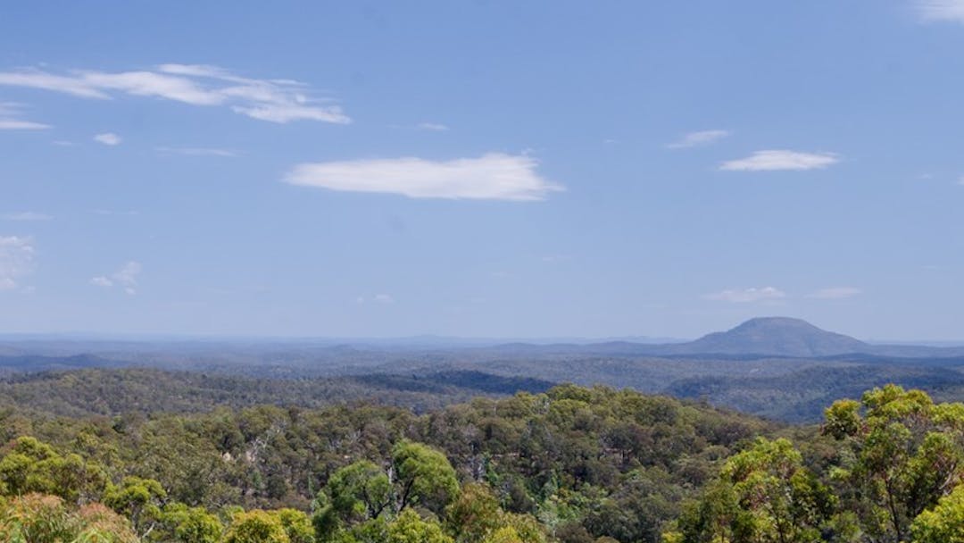 Bushland canopy