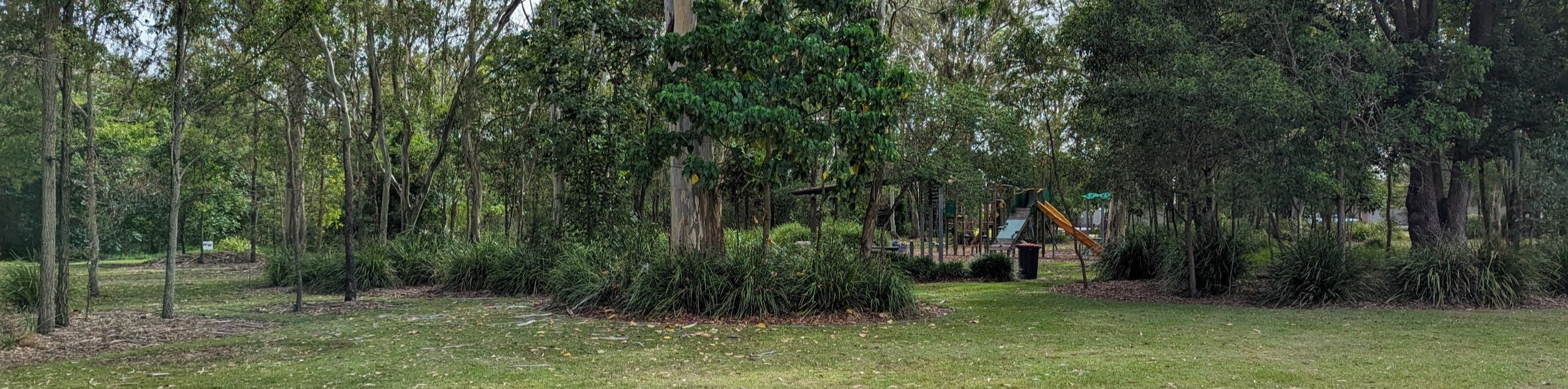 Photo of grassy lawn and trees in Macaranga Crescent Park