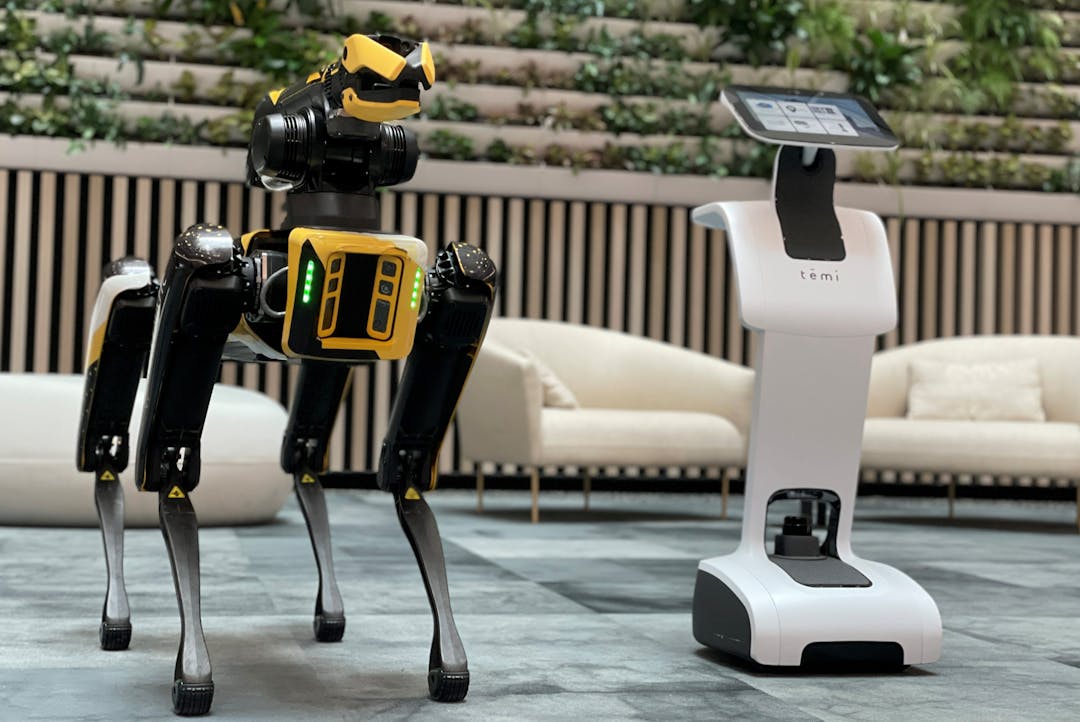 Spot, the four-legged robot dog, and temi, a sleek and autonomous personal robot in the Agriculture House foyer.