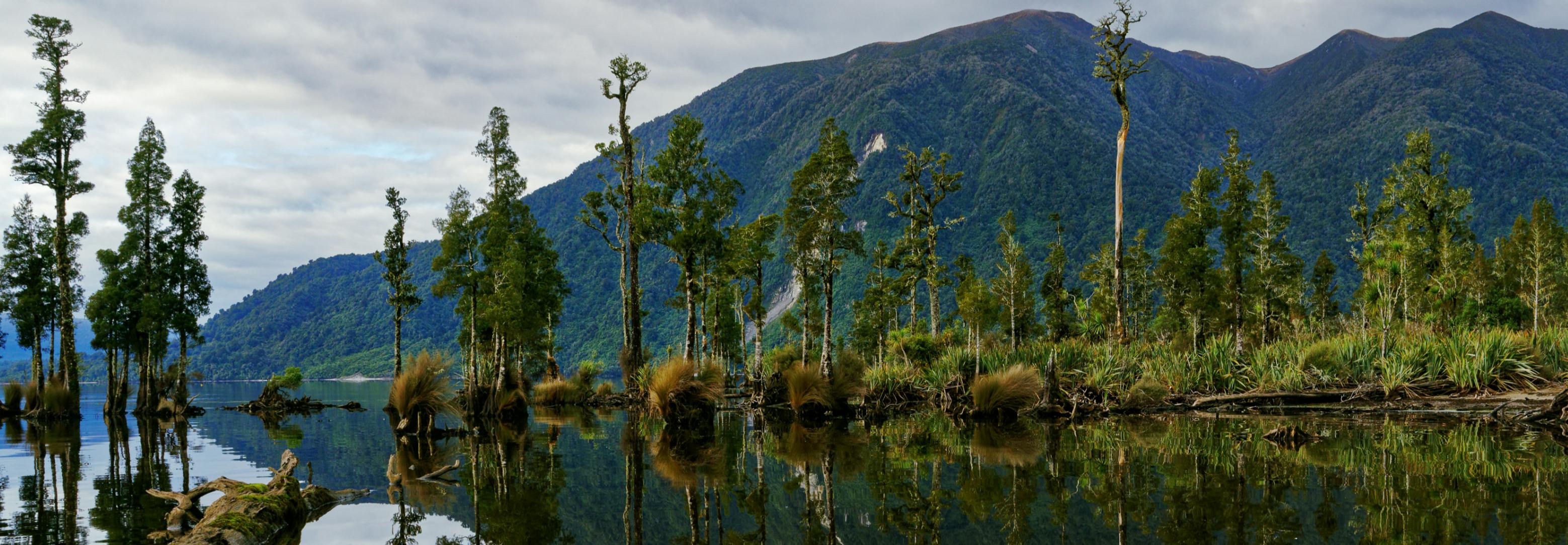 Lake with trees on edge and mountain in background