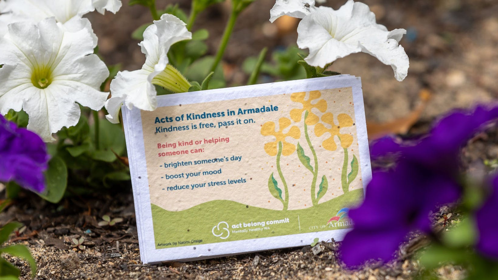 Acts of Kindness in Armadale card in garden bed of purple and white flowers