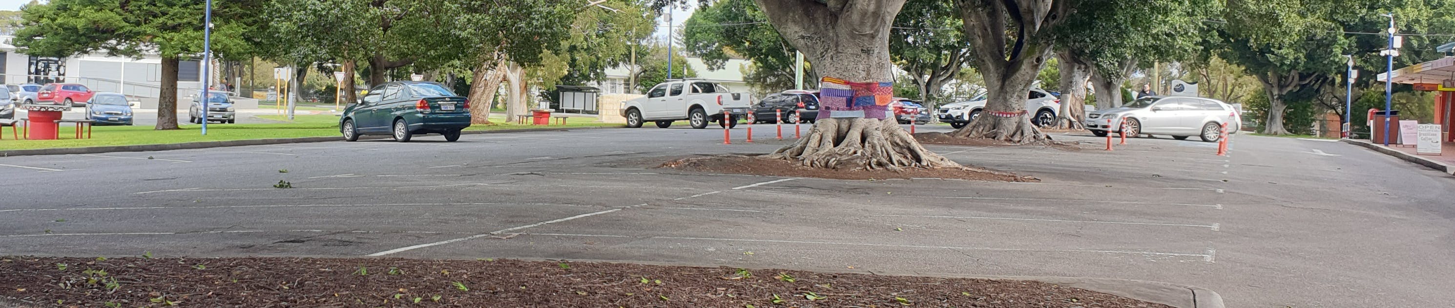 Image of Pace Road carpark, highlighting established trees that need protection.
