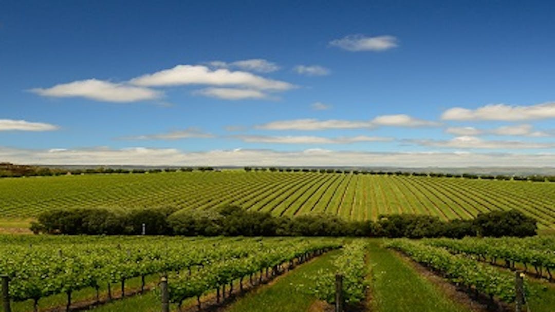 Wine Tourism and Cellar Door Grant Program Have Your Say