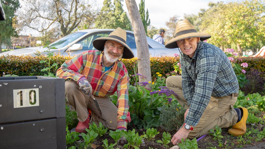 Two people with hats on planting plants in a garden bed.