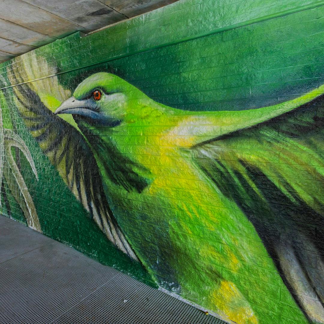 Bird mural image by Lindsay Molller