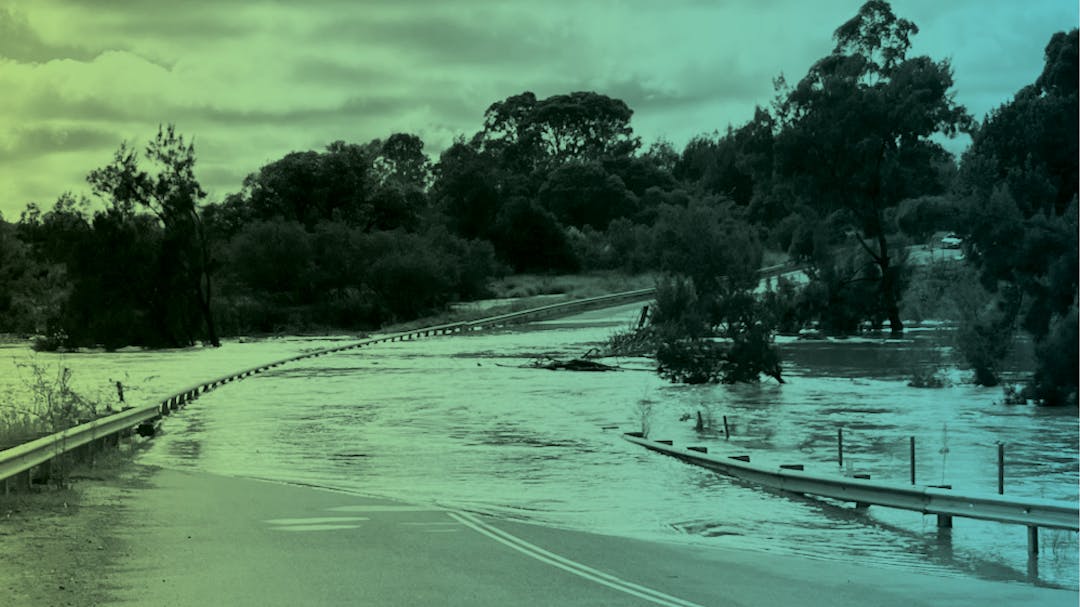 Stylised image of Menangle Bridge in flood