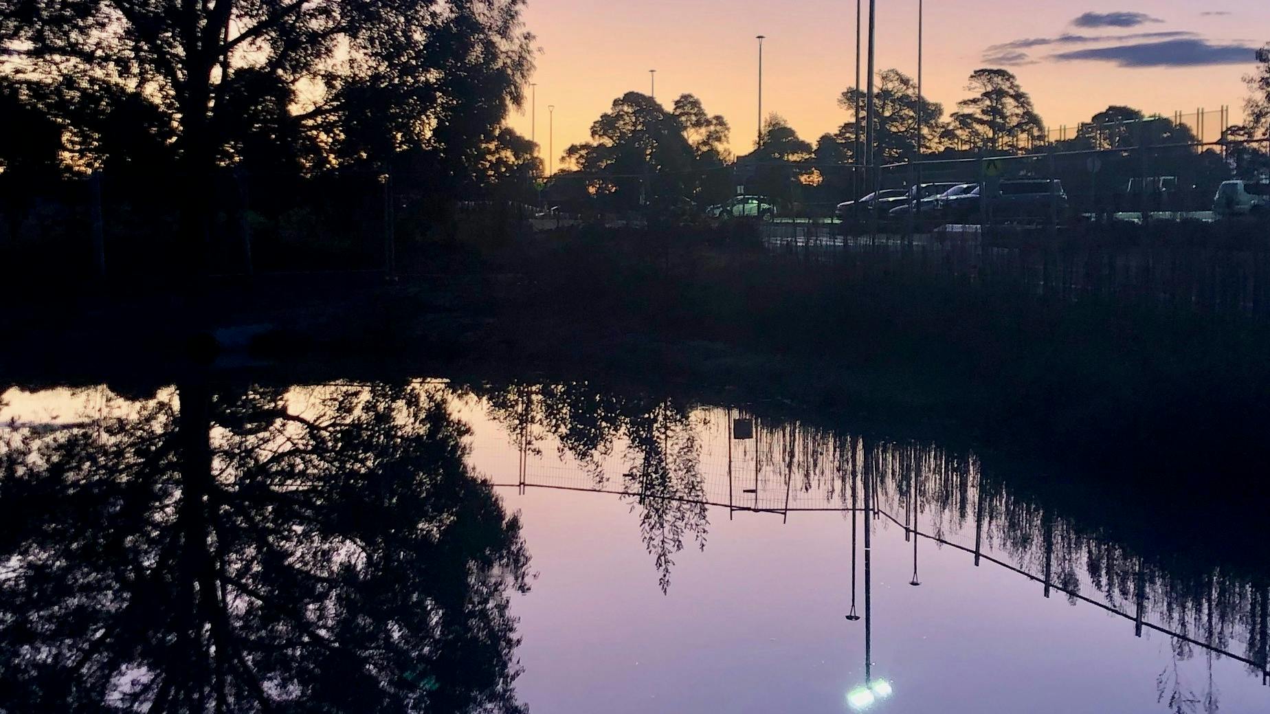 Wetlands behind the WORLD building on Wallace Street at twilight