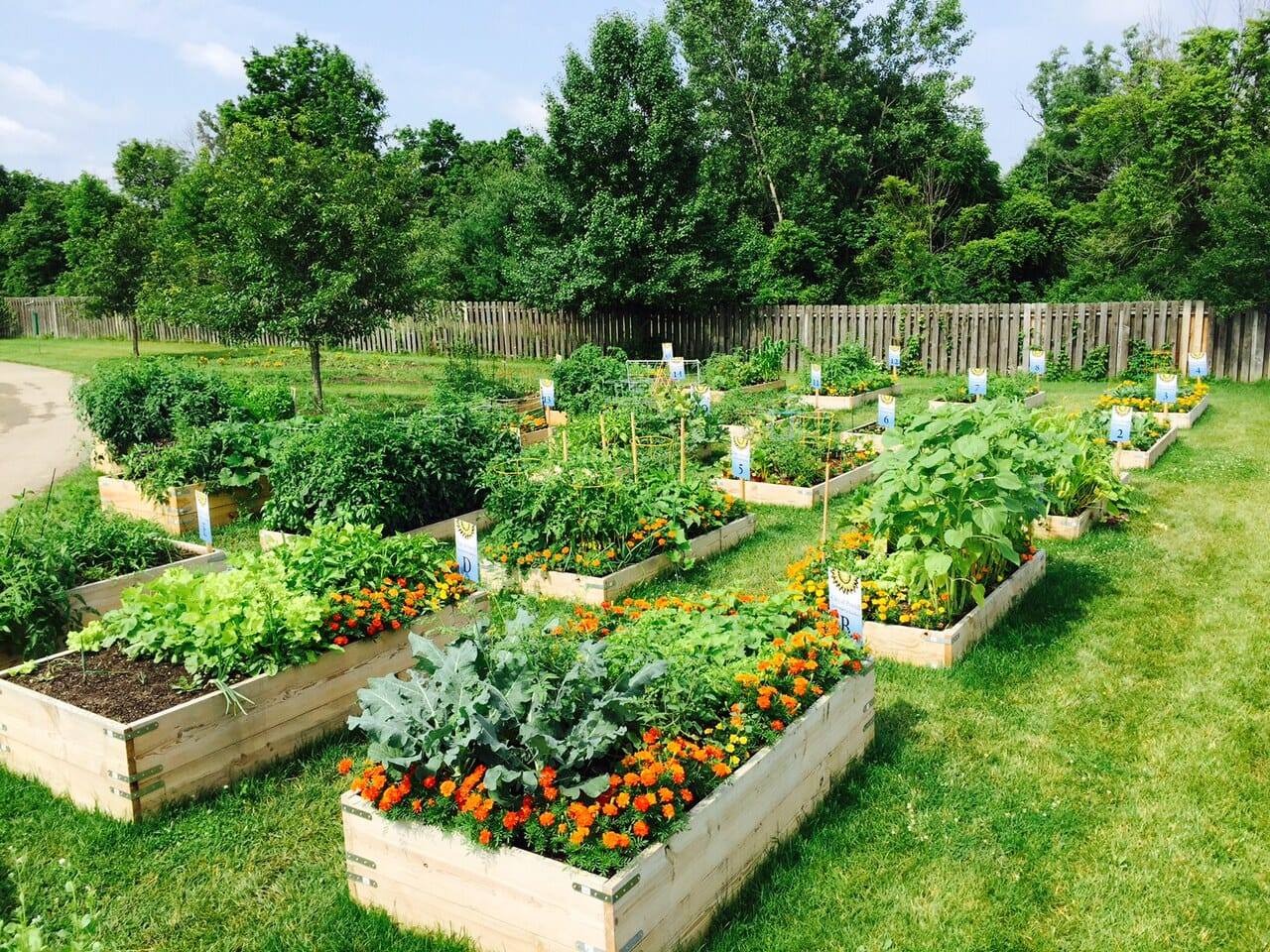 Community garden