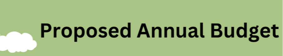 Proposed Annual Budget image