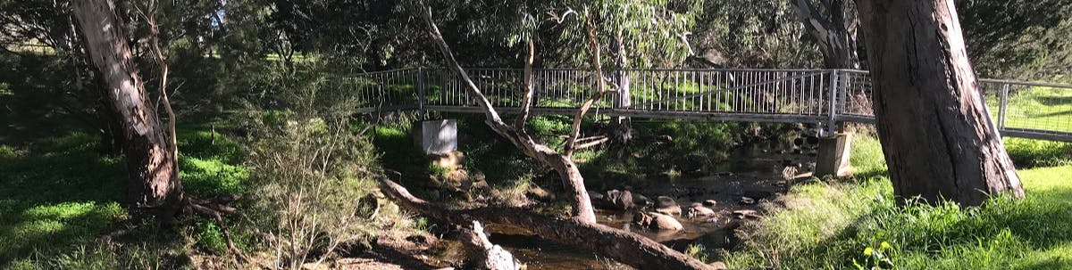 Tanunda Creek in flow at Bethany Reserve