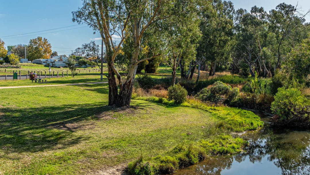 image of Tullaroop Creek, Carisbrook
