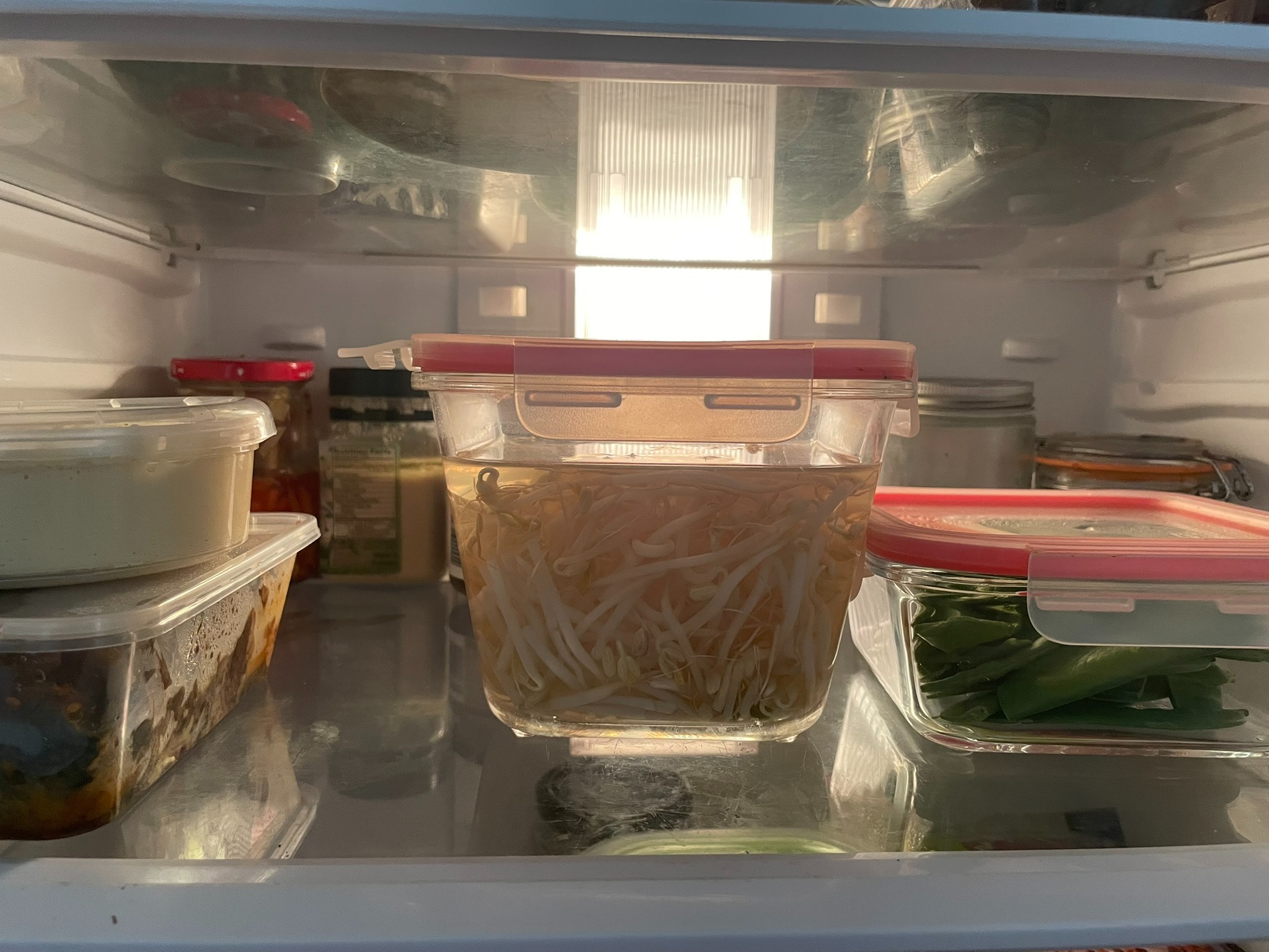 Store bean sprouts in water💦
