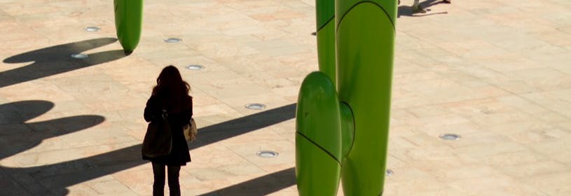 Grow Your own by James Angus.  Photographer:  Frances Andrijich