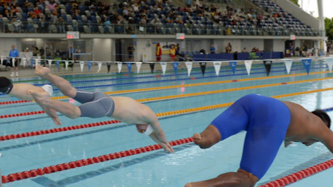 Swimmers diving into a competition pool at an aquatic centre