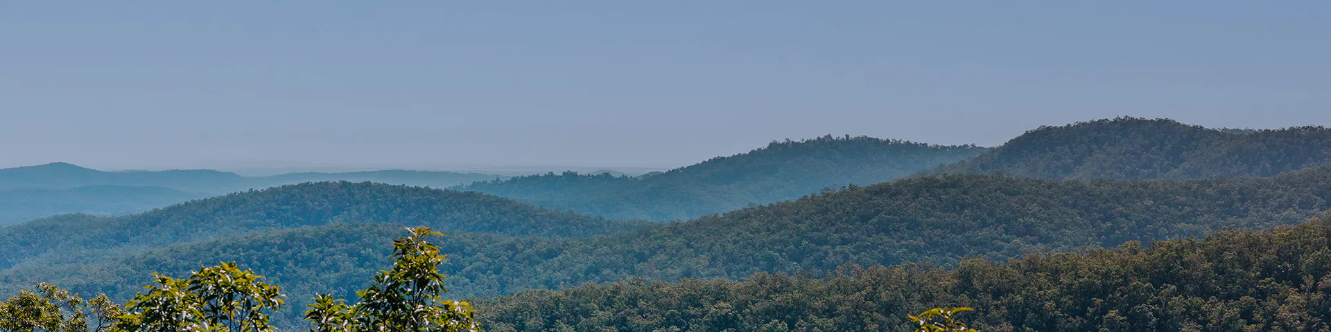 Gold Coast Hinterland Cableway Concept