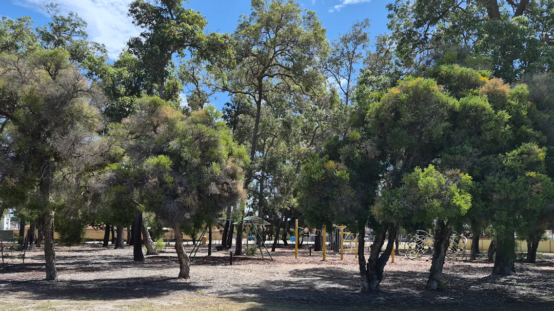 Allan Hill Reserve