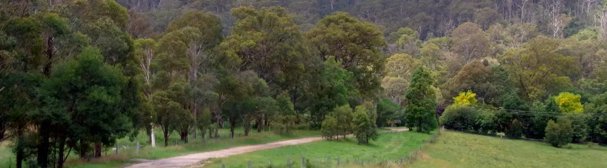 Dirt road through green valley leading to forested mountains.