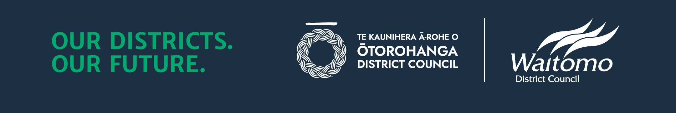 project banner
