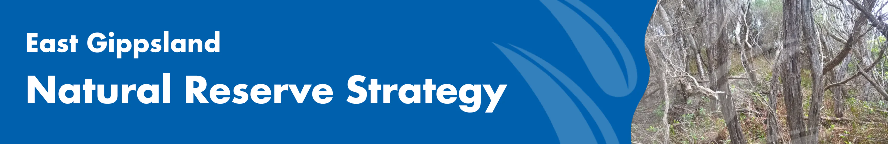 Natural Reserve Strategy heading with image of trees