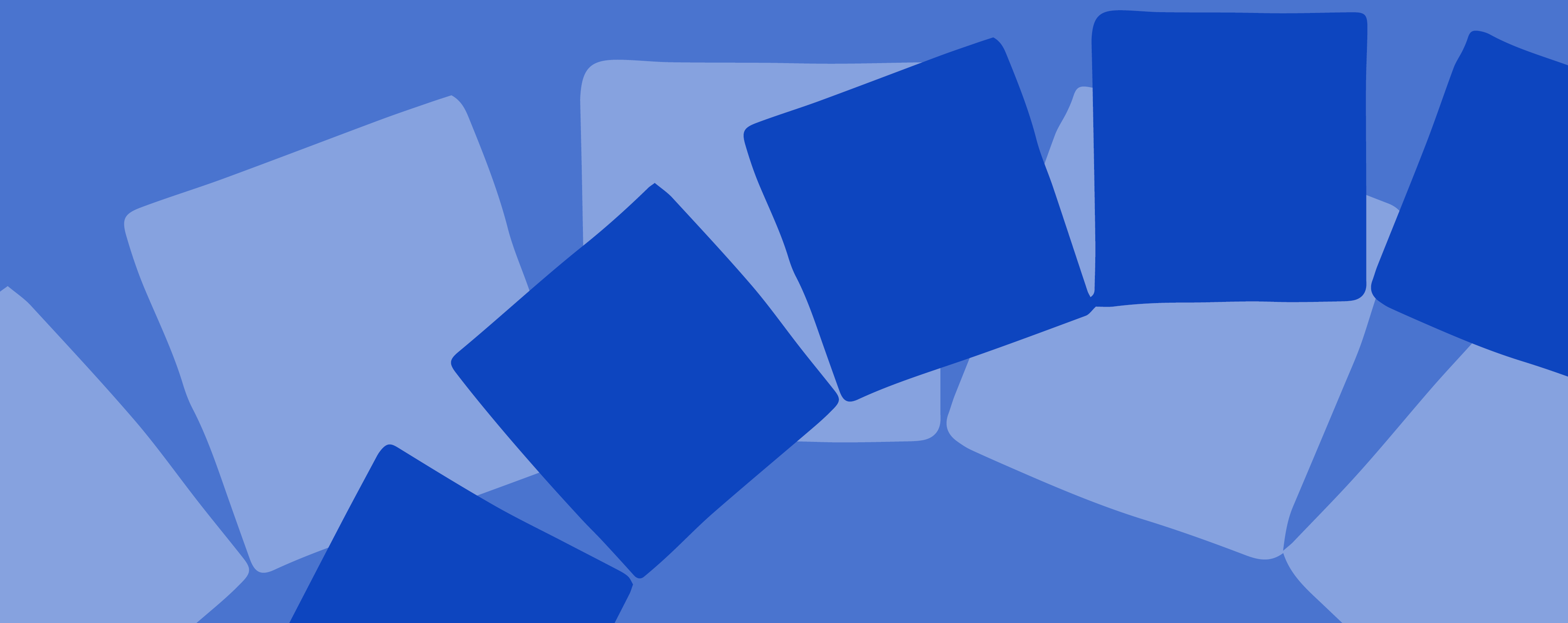 project banner