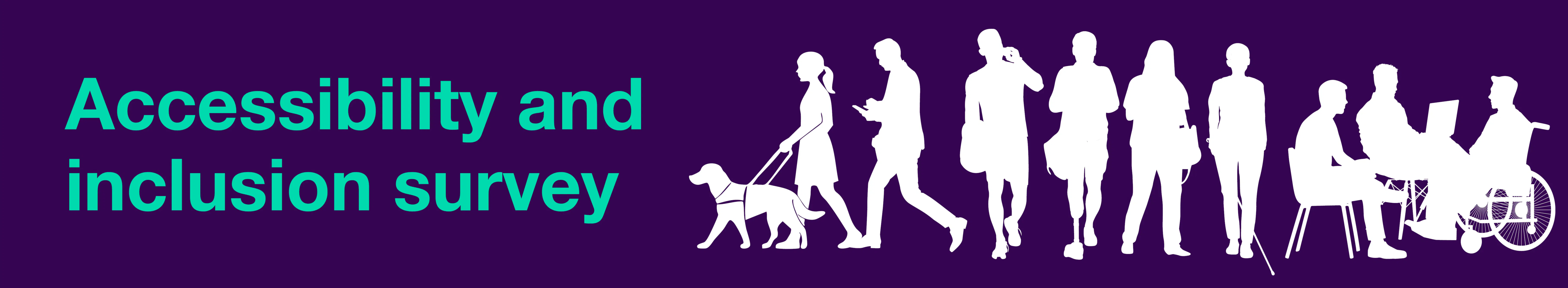Queenstown Lakes District Council Accessibility and Inclusion Survey graphic showing diverse people with accessibility needs