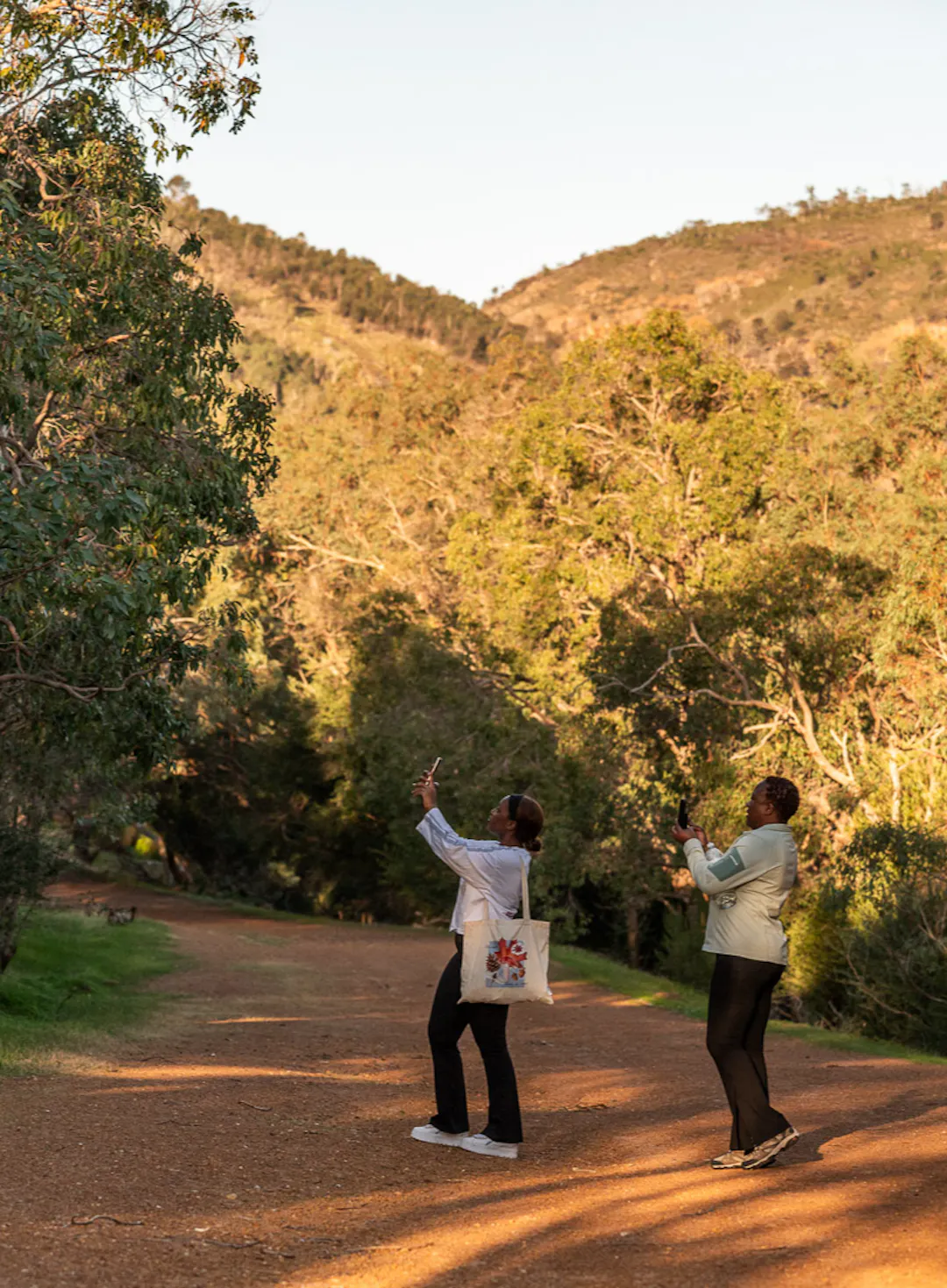 Family walking their dog through Minnawarra Park