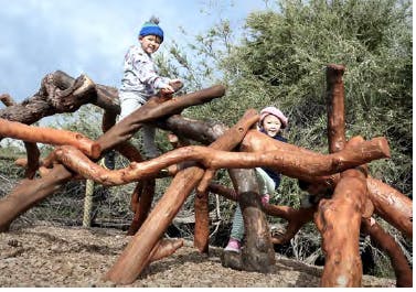 Humpback Whale Climber.png