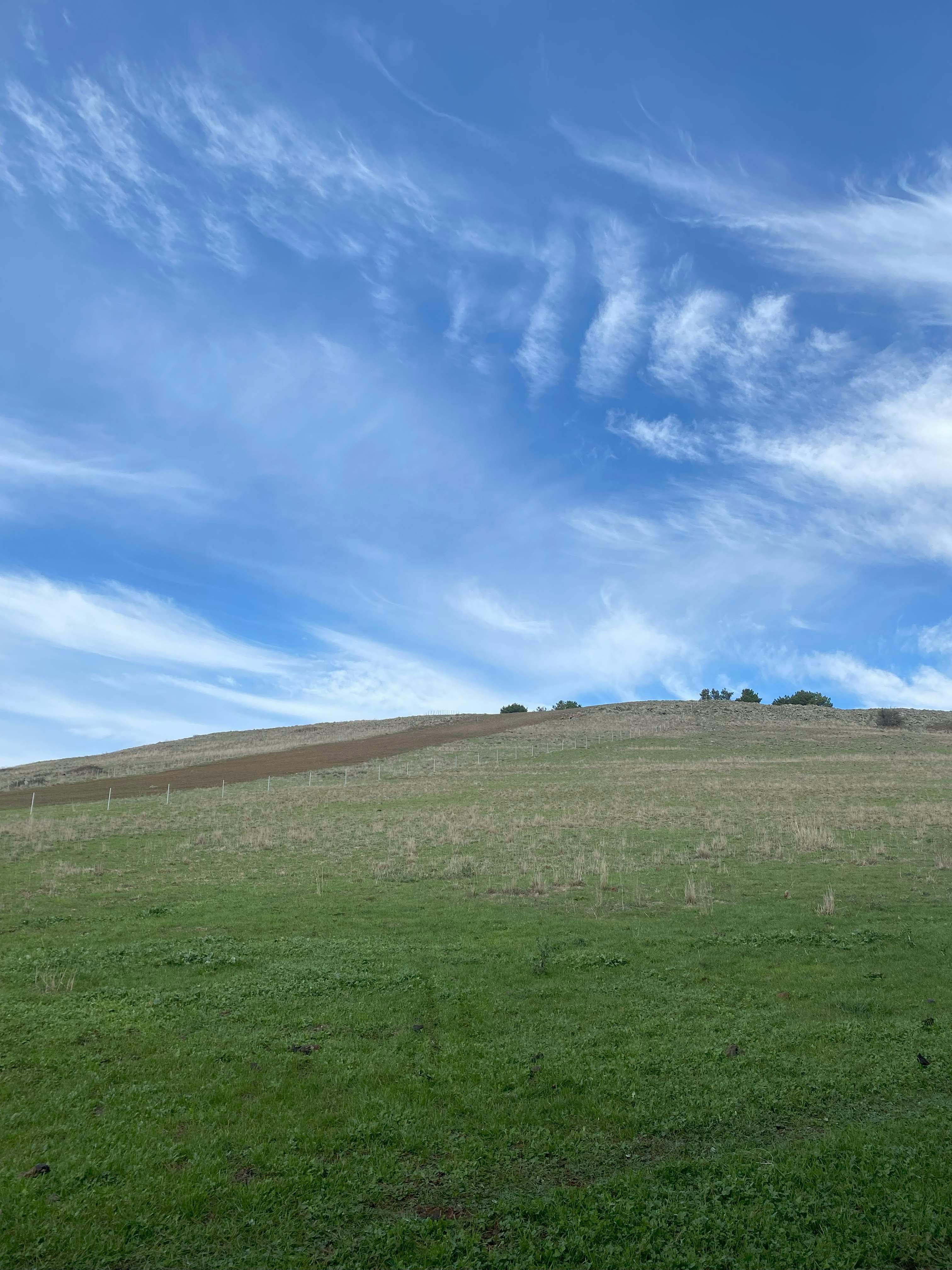 Bald Hill - Northern edge.jpg