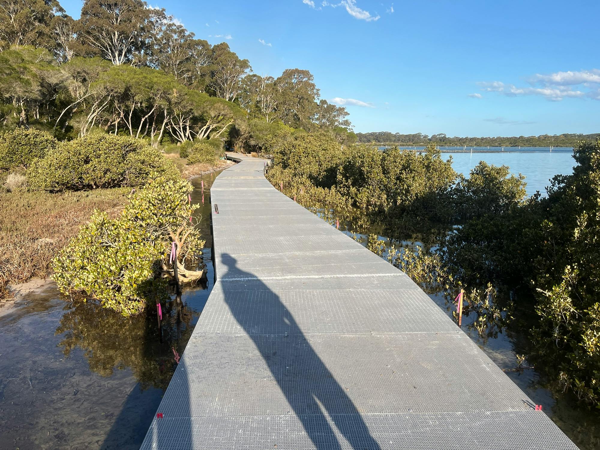 Merimbula Boardwalk construction - September 2026 2.jpeg