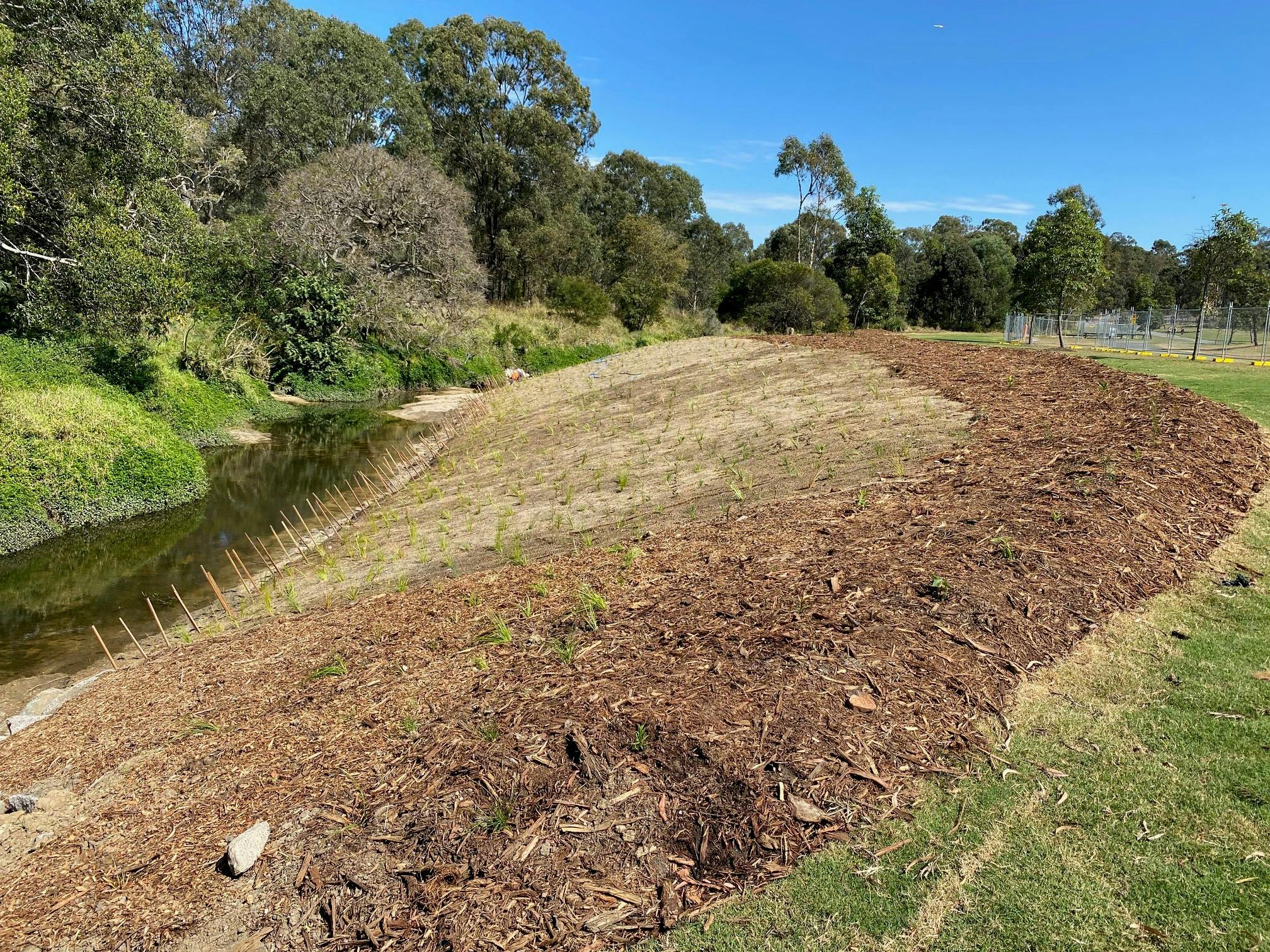Downfall Creek - another example of rehabilitation works on part of the creek bank