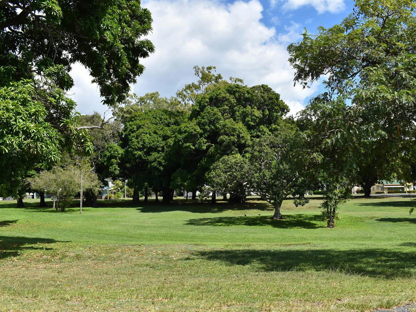 Seaforth Esplanade Road - This photograph is looking south across the esplanade's park towards Palm Avenue. 