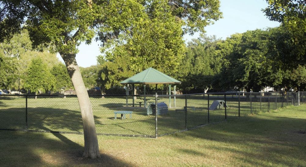 Dog off leash area at Woolloongabba Rotary Park looking from the northern corner of Rotary Park.