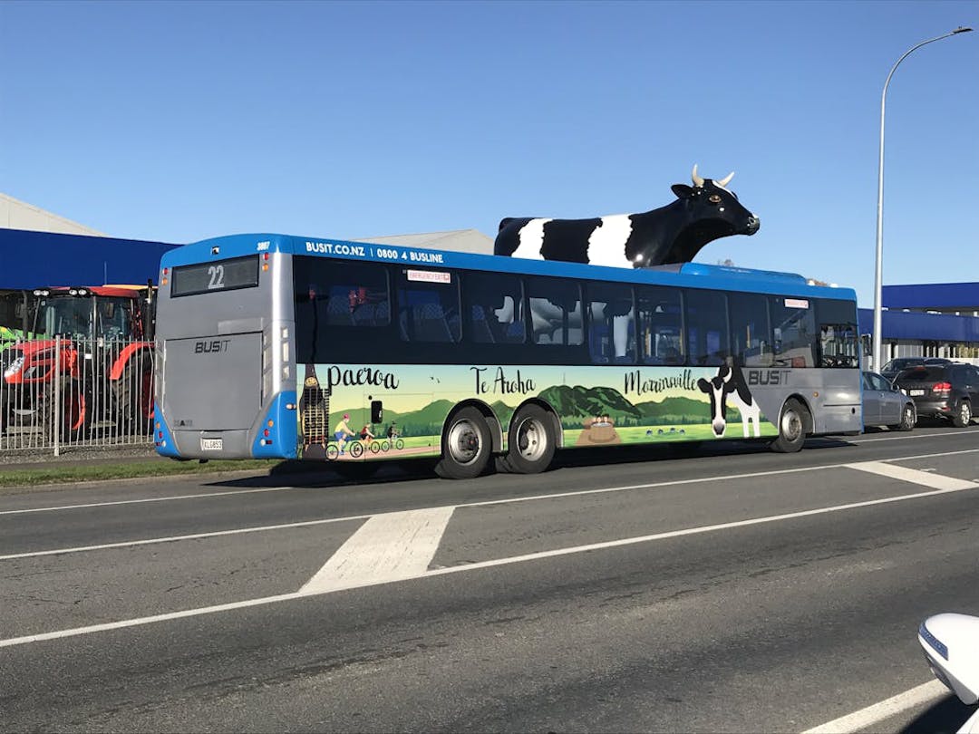 Image - Regional connections - public transport in the Waikato region