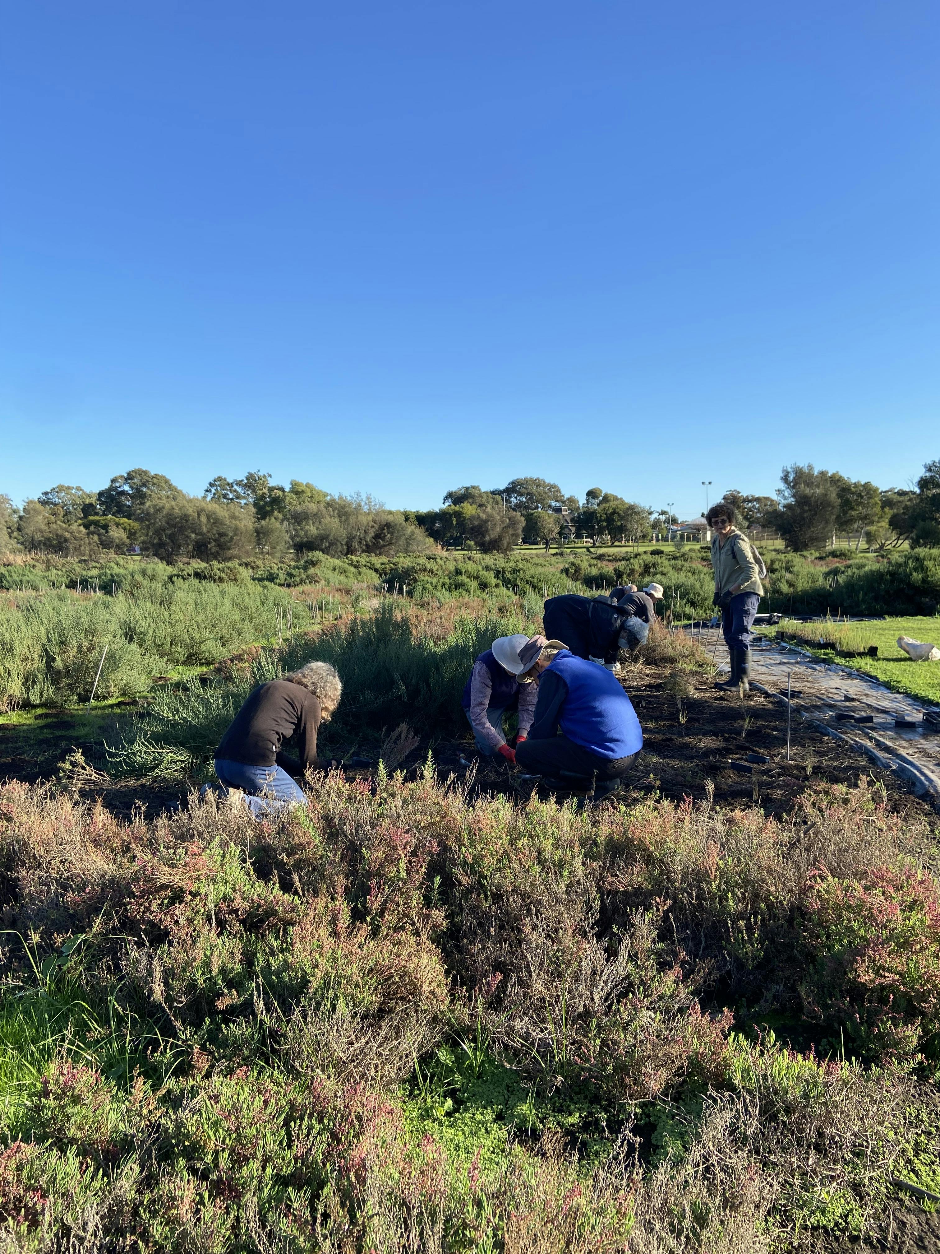 Team member, Sustainability and Environment team