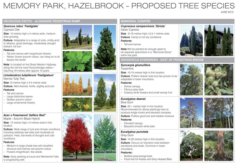 Memory Park Tree Brochure 1
