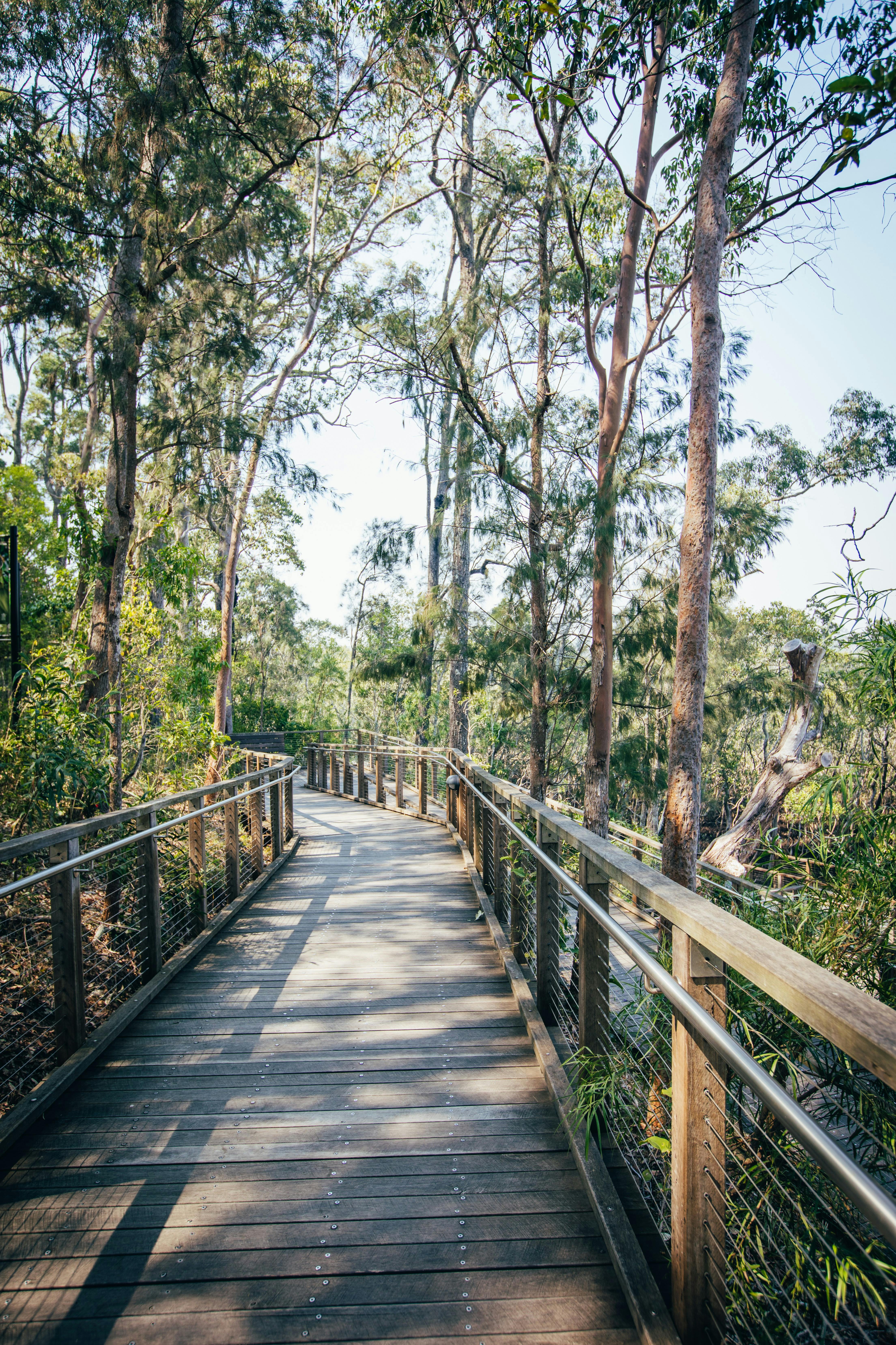 David Fleays Walking Track