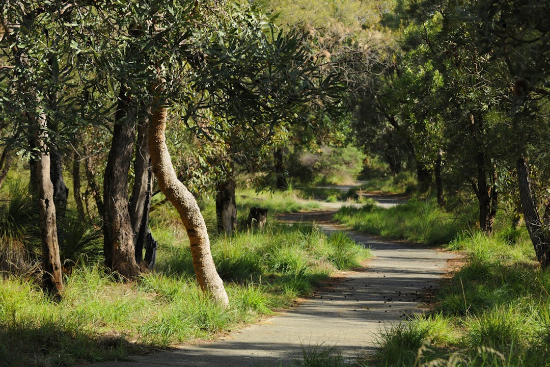 The City of Kalamunda welcomes your engagement and communication. The City is committed to continual improvement of its community engagement.