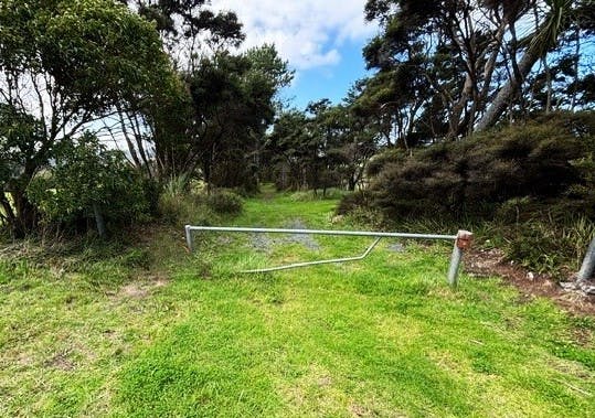 CAS-904878-S3K0V5 .jpg