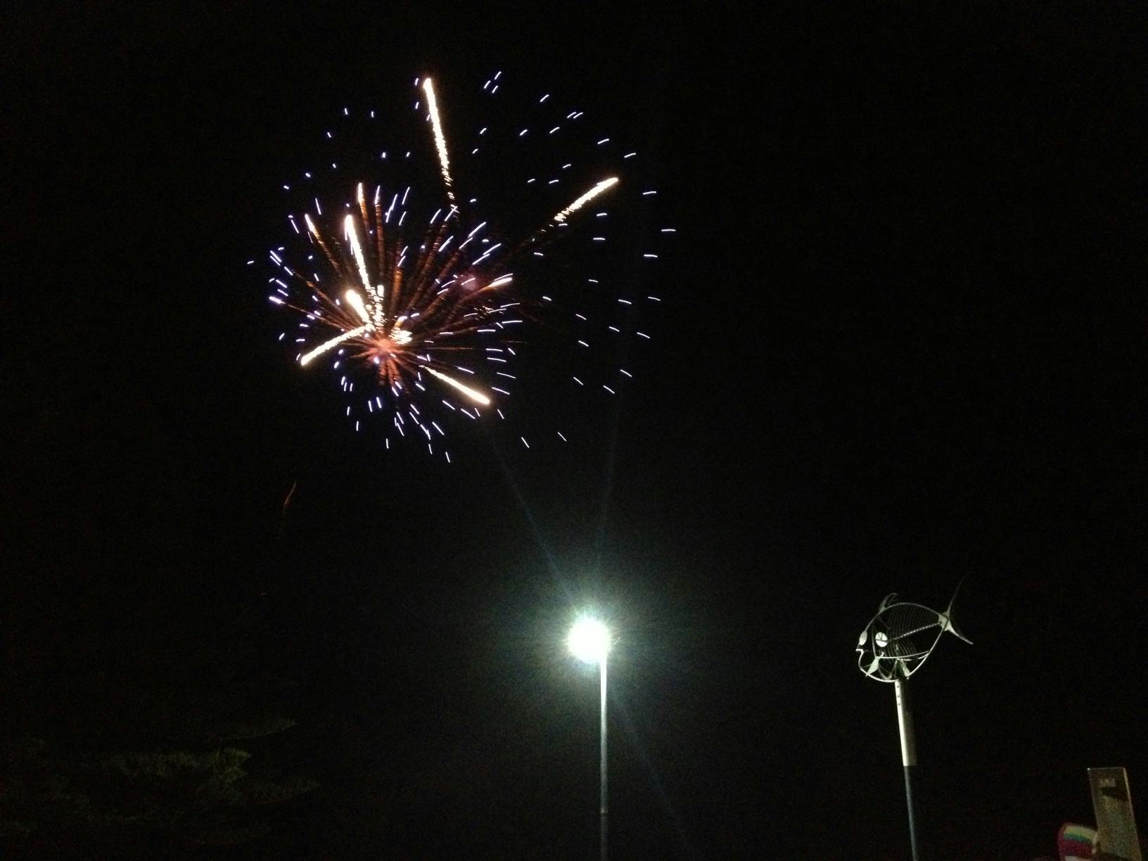 New Years Eve at Normanville 2014