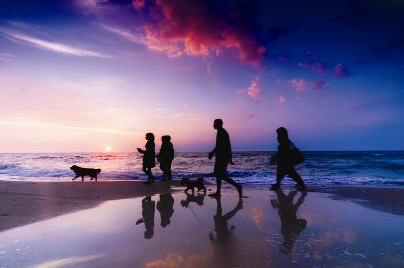 Gold Coast Beach