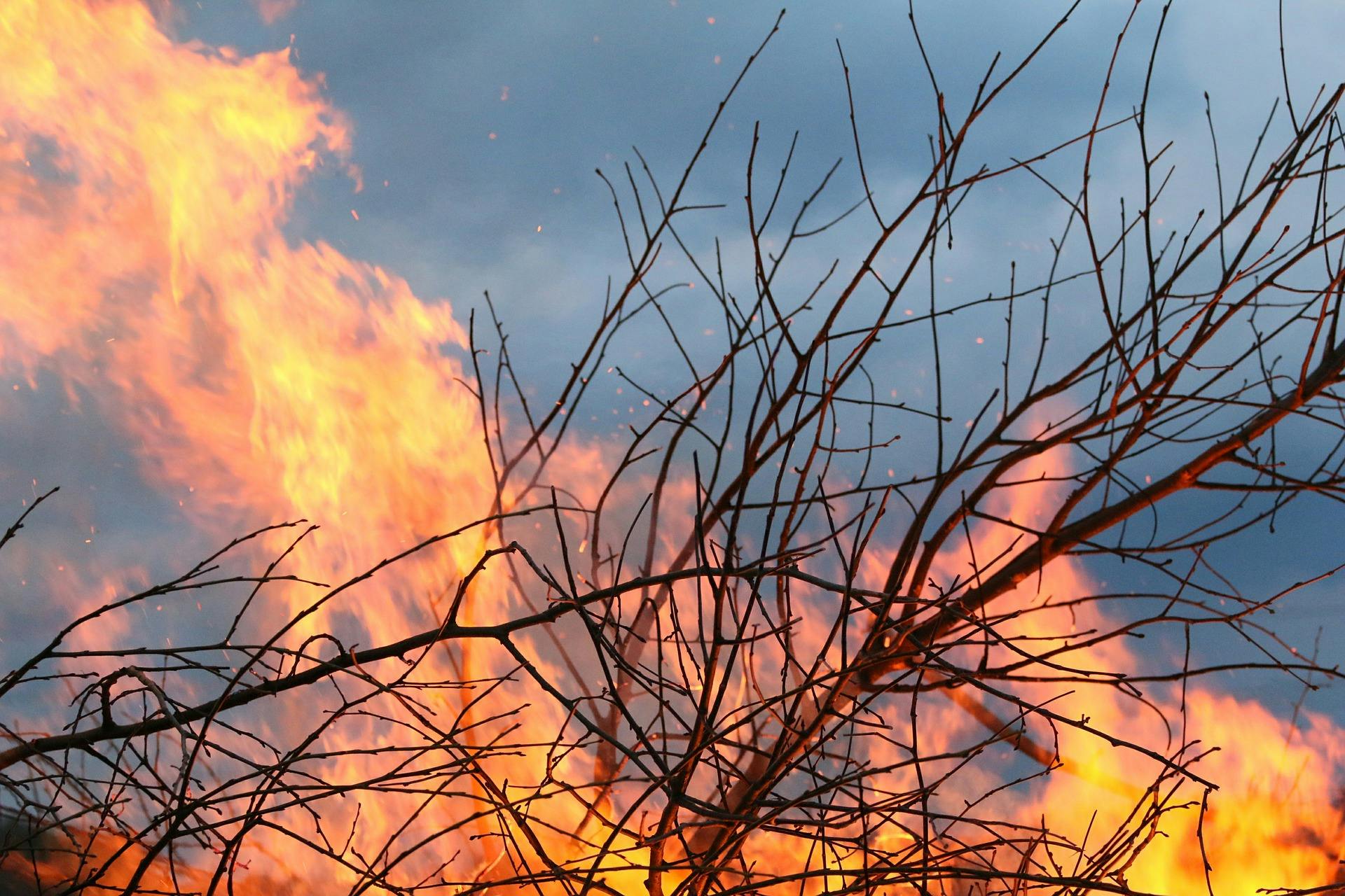 Bushfire burning