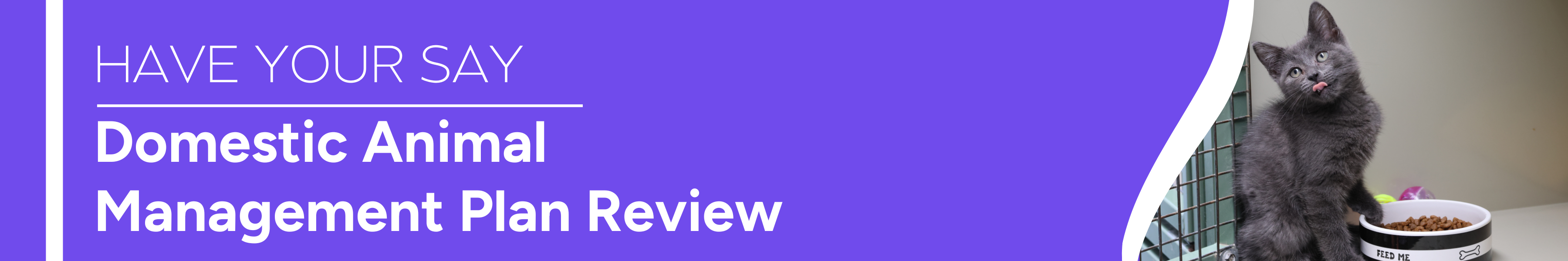 Have your say - Domestic Animal Management Plan Review